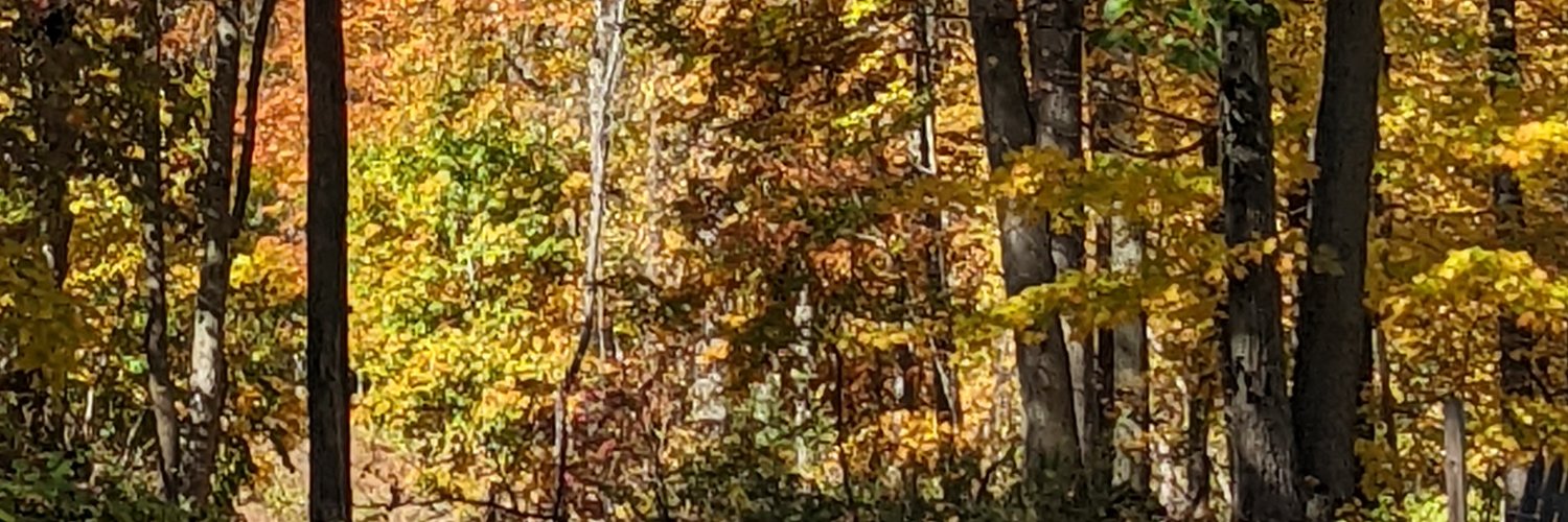 Sticks_and_stones banner