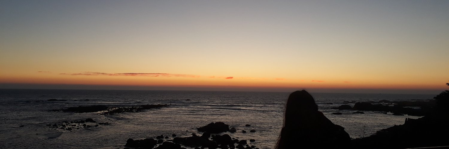what_eveeeer's profile banner image