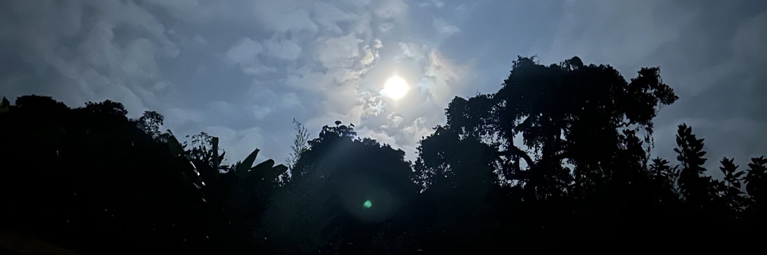 Astrydquintero's profile banner image