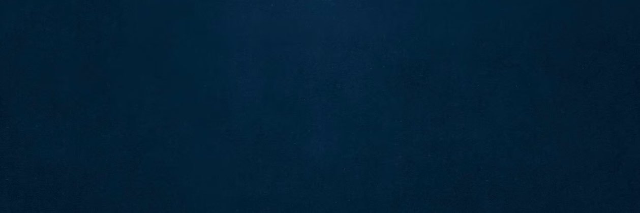 Guillermo Wellman Carpio banner