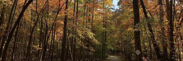 Alexa_Spandrio Profile Banner