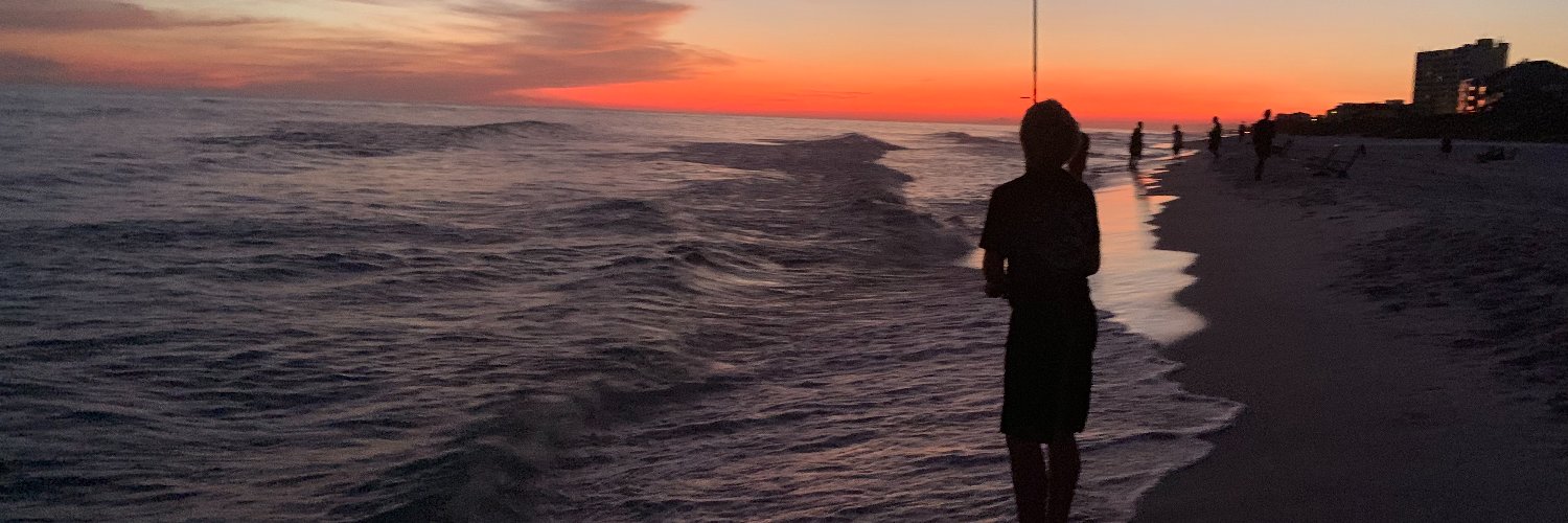 TheLiberalScam banner