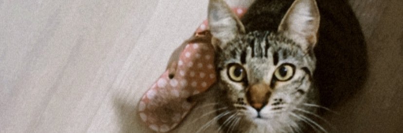 Jessica_arruda_'s profile banner image