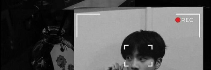 Z📍 banner