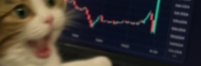 驯服最猛的金狗🔶 banner