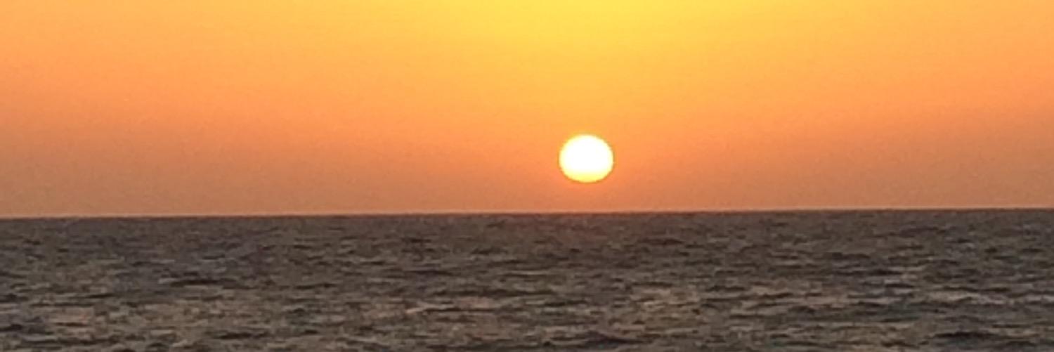 بدر العتيبي banner