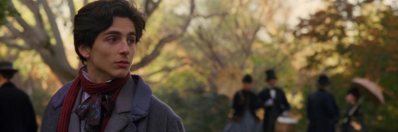 chalamet slay banner