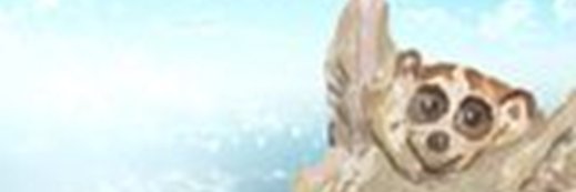AronHChan's profile banner image
