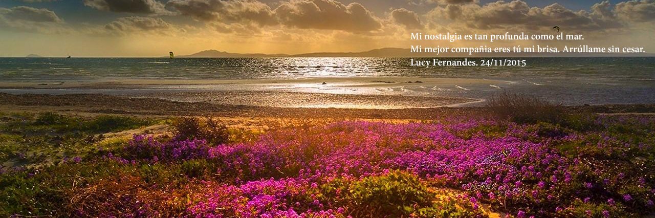 lucyfernandes67's profile banner image