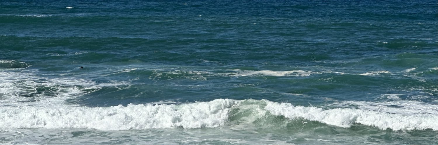 Christy_Flis's profile banner image