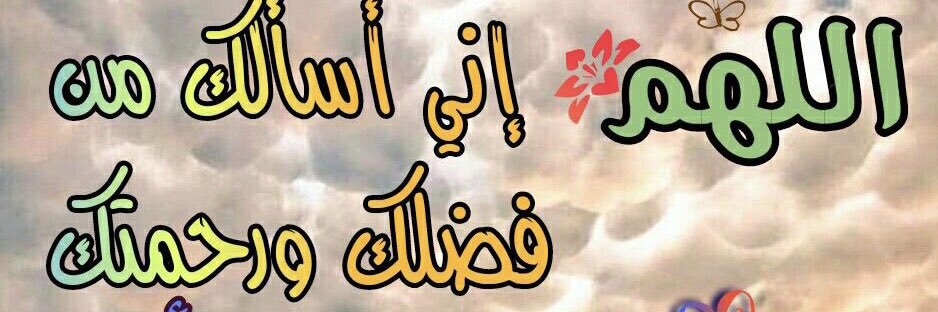 saeednh995's profile banner image
