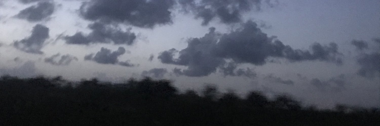 margvesz's profile banner image