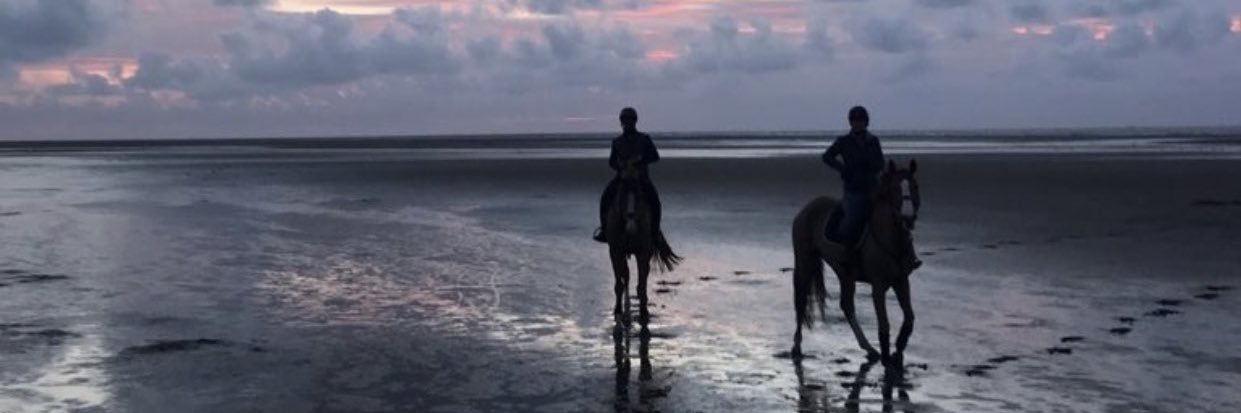 ghodina's profile banner image