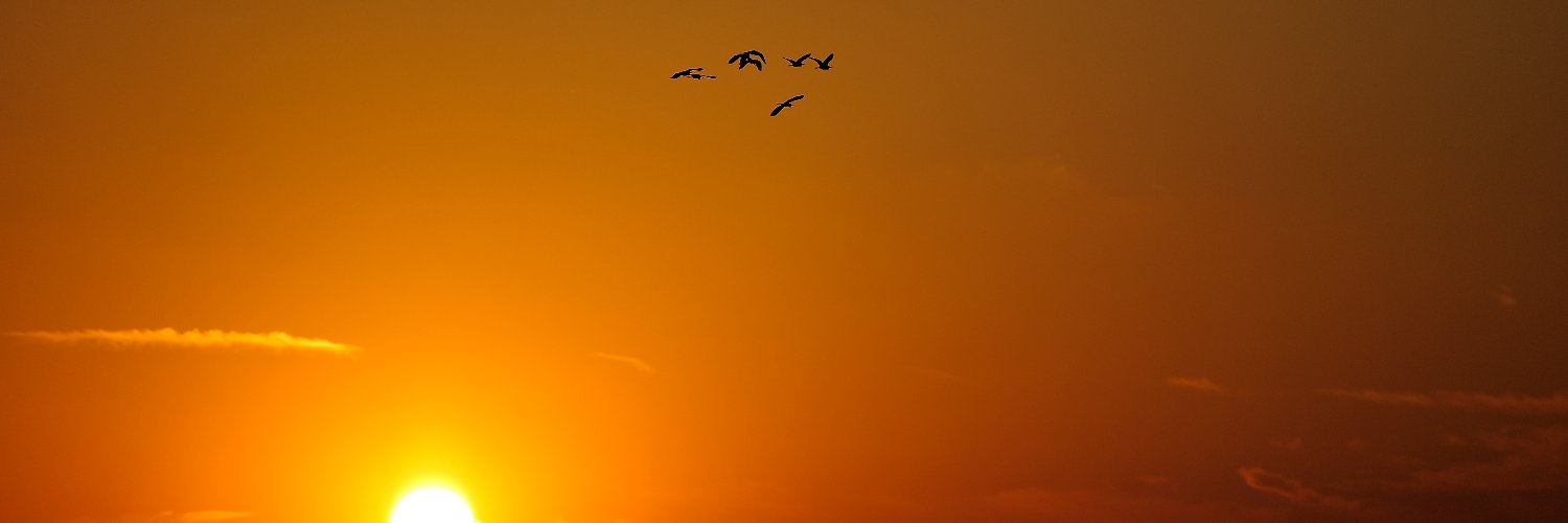 sunland97's profile banner image