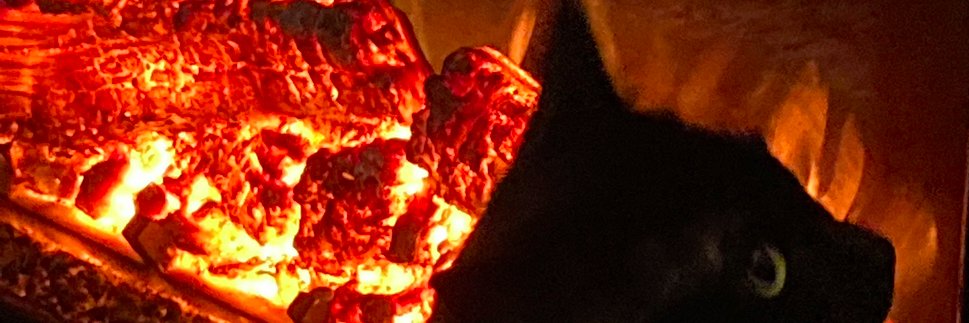 RubberDomme's profile banner image