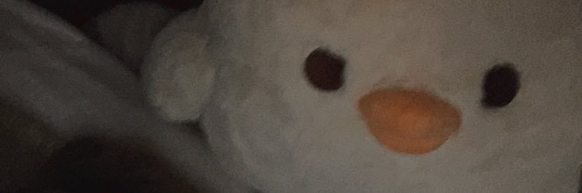 babycheekie's profile banner image