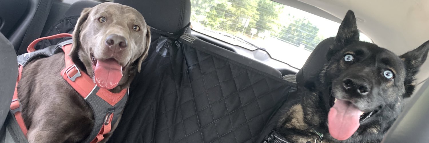 rippleyy's profile banner image