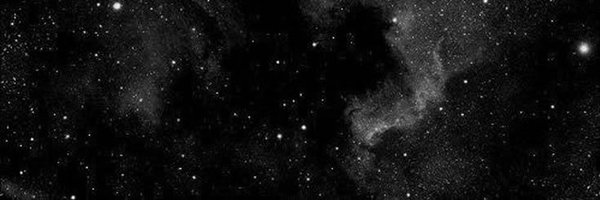 tashajuptr Profile Banner