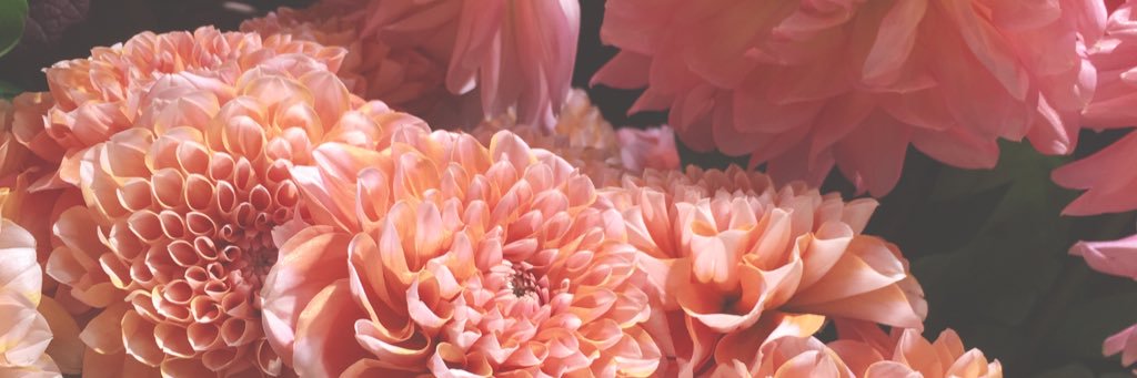 808_047's profile banner image