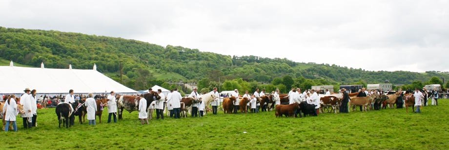 Otley Show banner