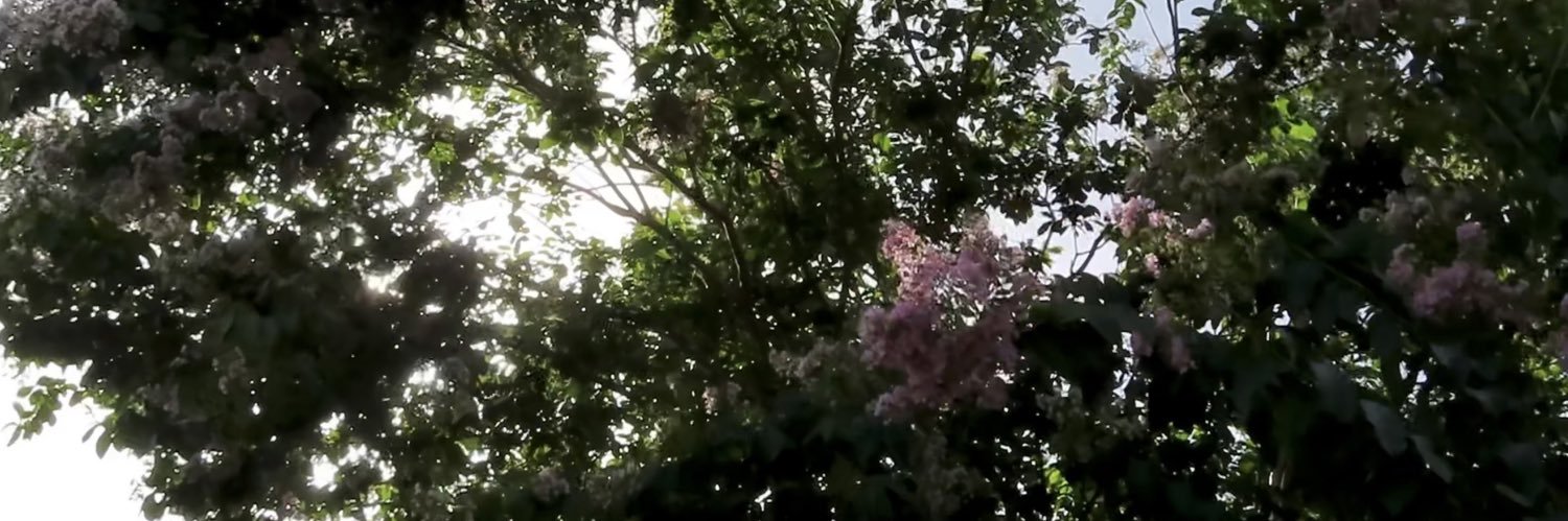 bryanarchives's profile banner image