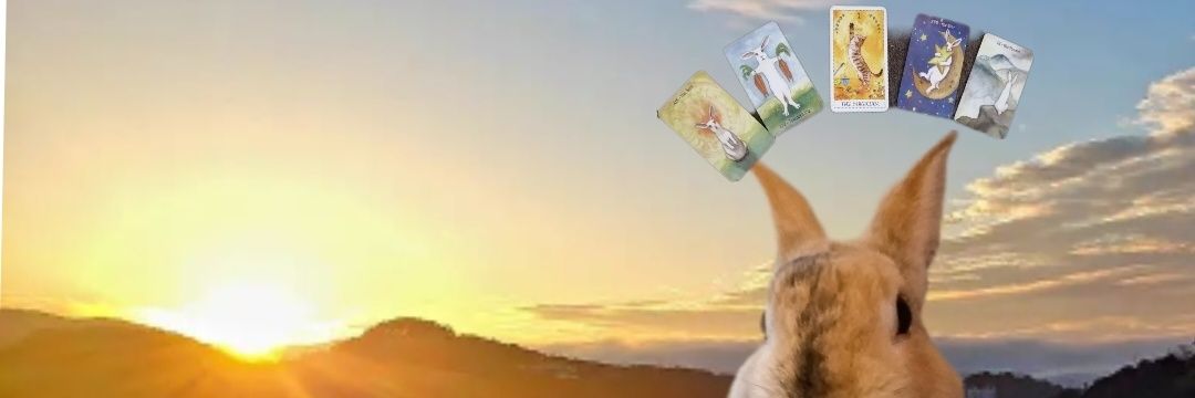 miccho100's profile banner image