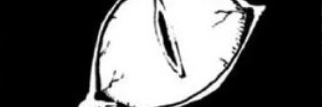 𝐒𝐈𝐗 𝐄𝐀𝐑𝐄𝐃's banner