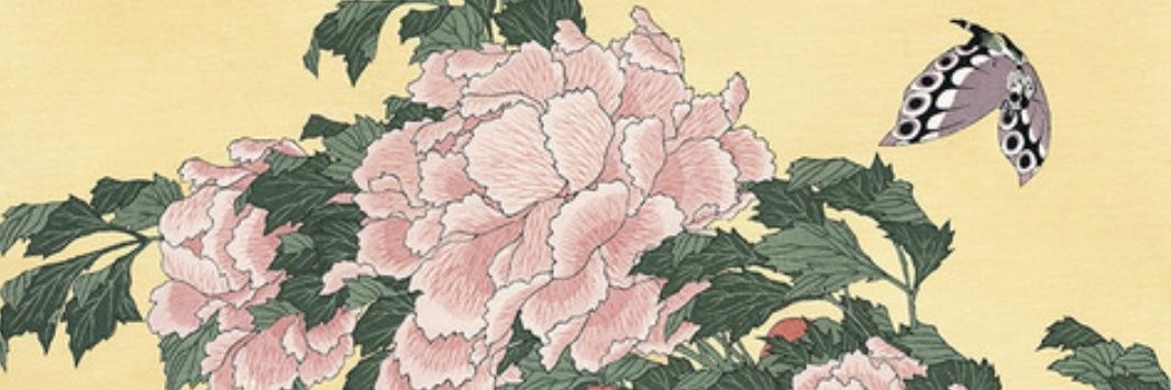 hisariin's profile banner image