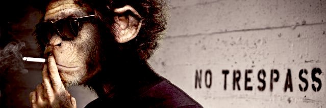 botAlot_'s profile banner image