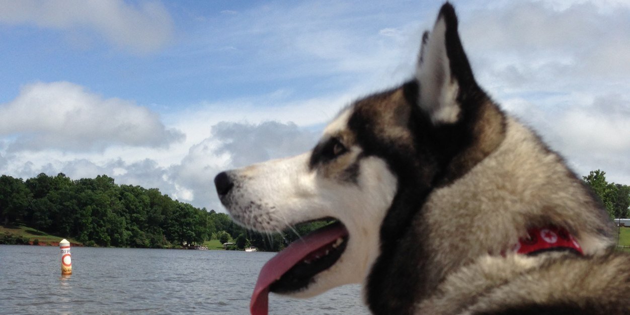 Sibekeepr's profile banner image