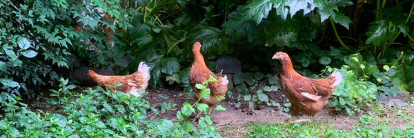 SMpwrgr Profile Banner