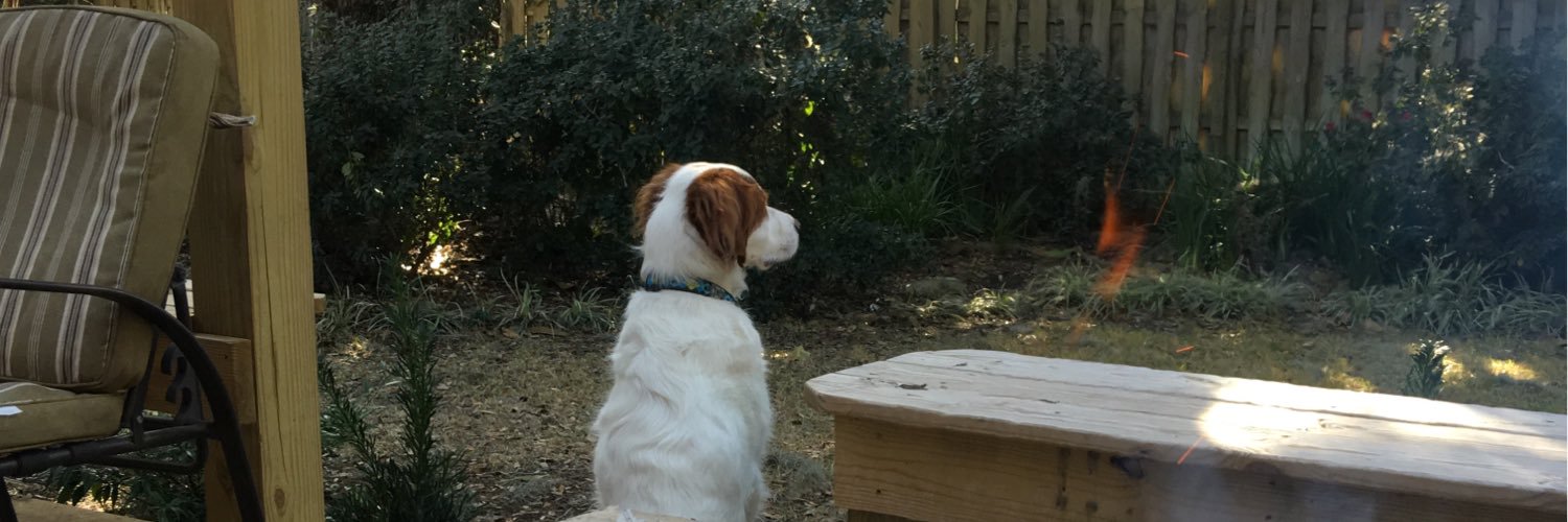 Warrenemerson's profile banner image