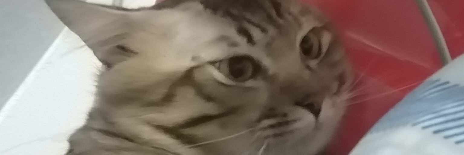 Kz. banner