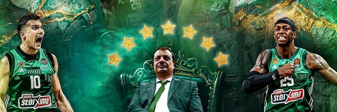 The Green Owl🦉☘️ banner