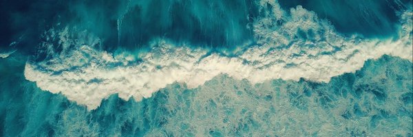 seaspiracy Profile Banner