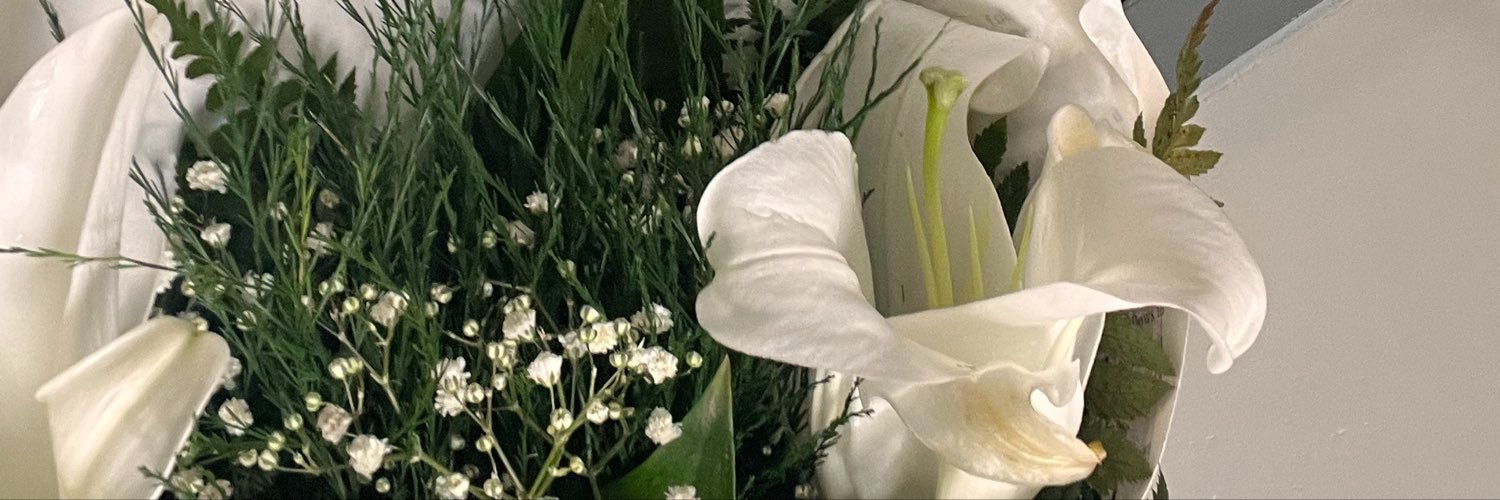 ledhgent's profile banner image