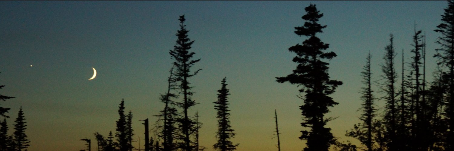 a_desolate_land's profile banner image