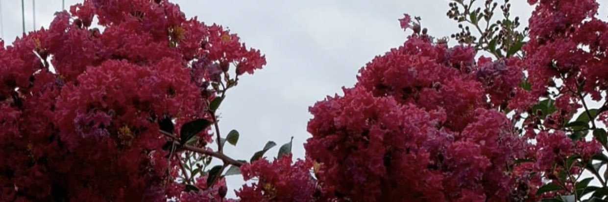 ferojabz's profile banner image
