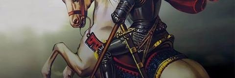 Leo Medeiros banner