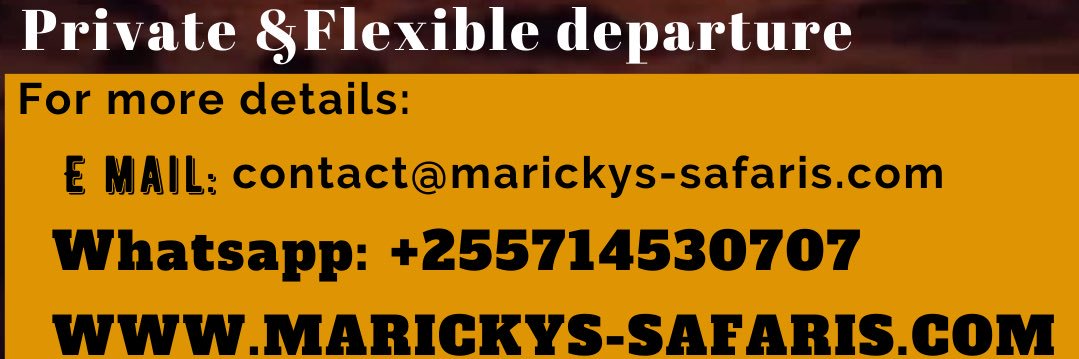 marickyssafaris's profile banner image