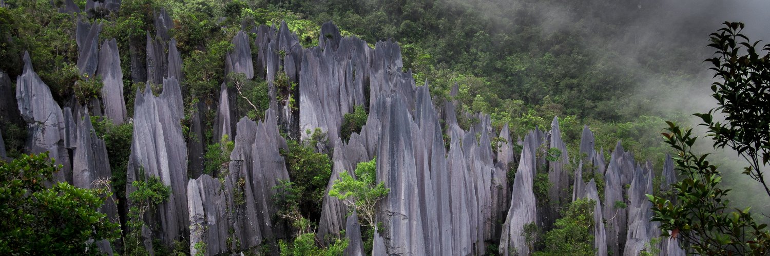 Crystal Ballinger banner