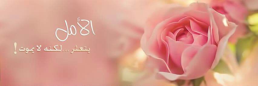 nu1988a's profile banner image