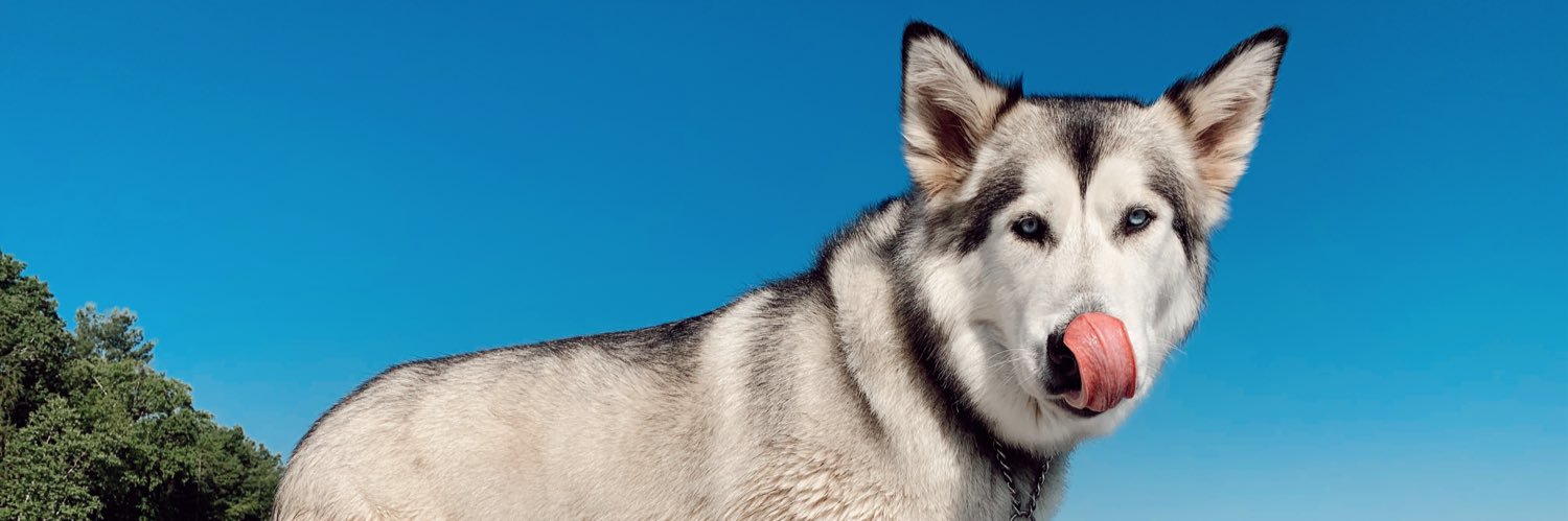 Amanda Stubbs banner