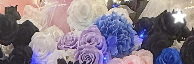 ぽめ🐇ིྀ banner