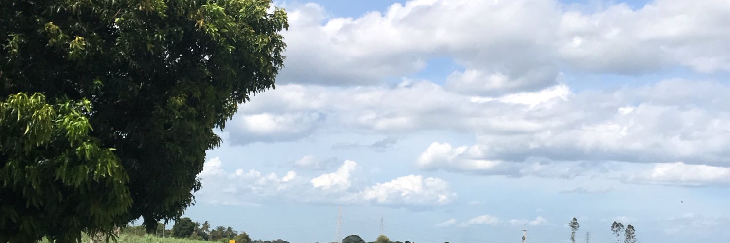 Jamalisabwer42's profile banner image