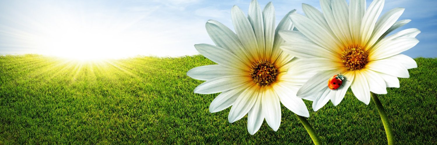 Juniiior Life banner