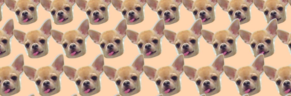 luchaco13's profile banner image