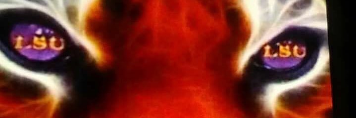 504bg's profile banner image