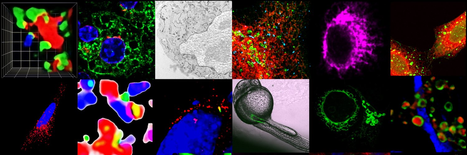 Morel Lab🇪🇺's banner