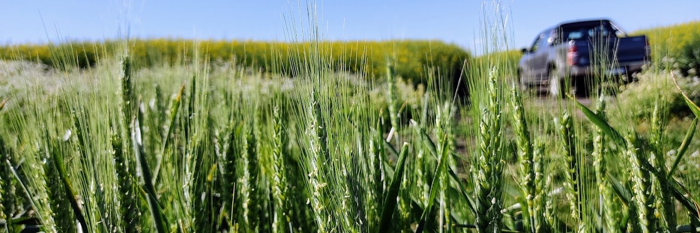 Nestor Tafernaberry 🇺🇾👻 banner